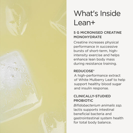 Lean+ Powder